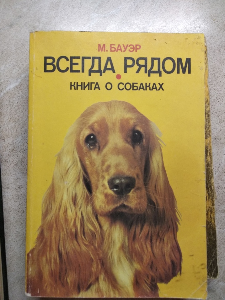 История собак книги. Собака с книжкой. Книги про собак. Книги о собаках Художественные. Книга с собакой на обложке.