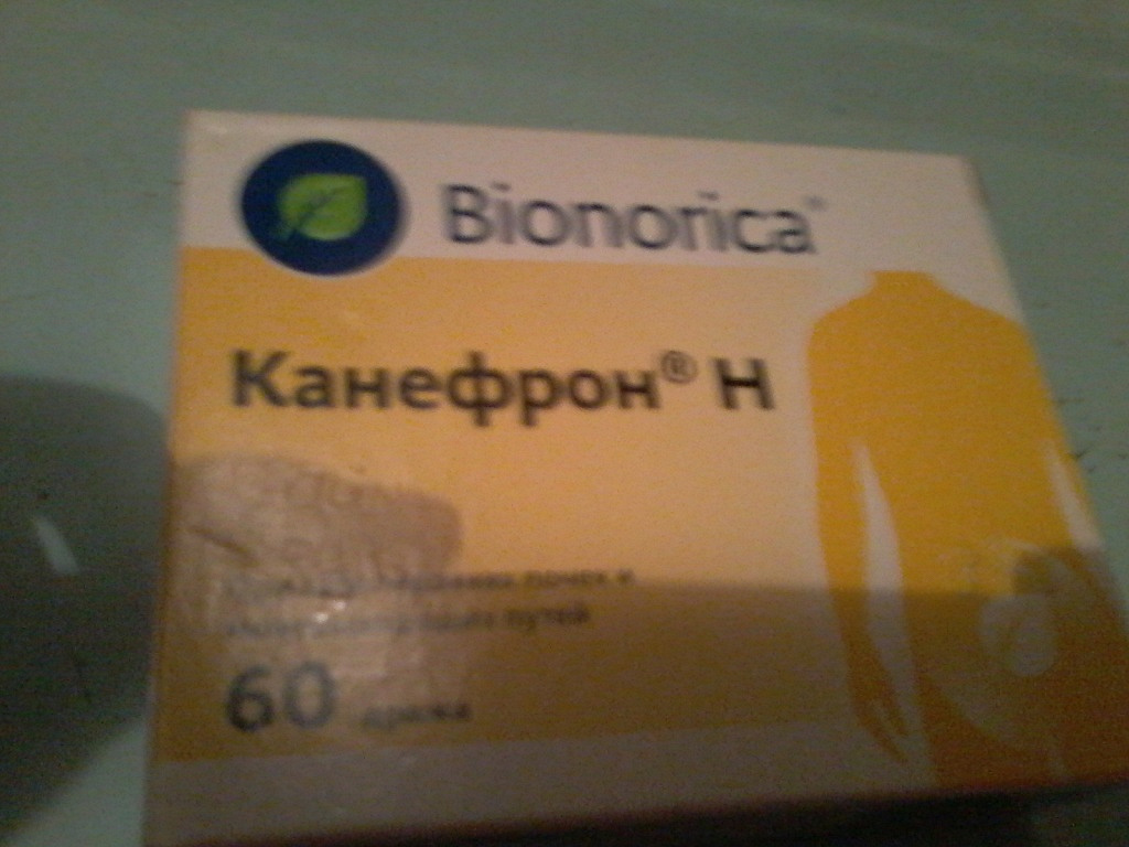 Канефрон от чего. Аналог канефрона в таблетках. Канефрон это антибиотик. Канефрон и Фурагин. Канефрон таблетки аналоги.