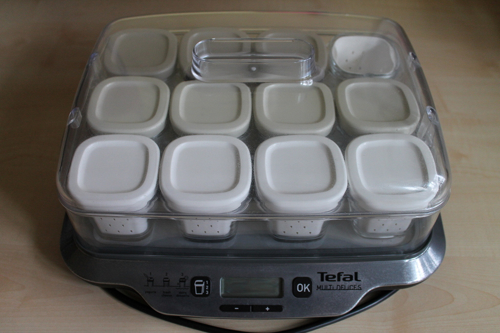 Рецепты десертов для йогуртницы tefal 3 в 1