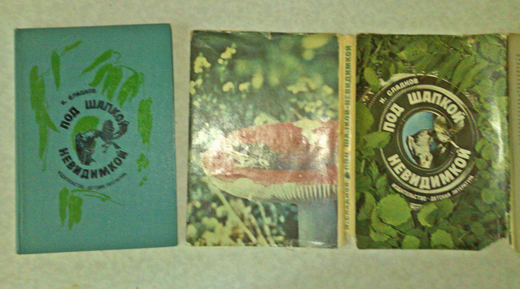 под шапкой текст