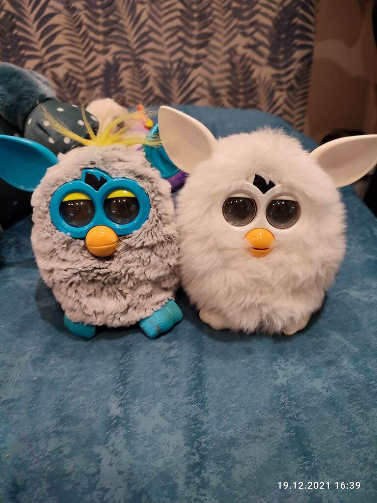 Интерактивные игрушки furby в дар (Люберцы). Дарудар