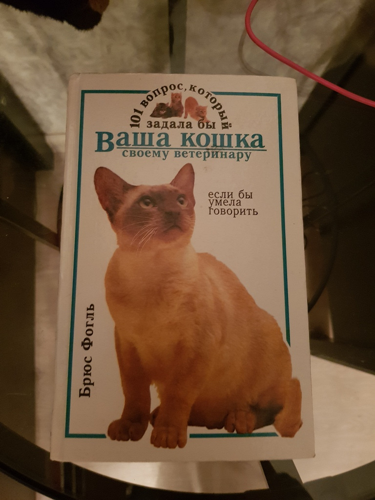 Кот умел говорить. Ваша кошка. 101 Вопрос который задала бы ваша кошка. Если бы ваша кошка умела говорить. 101 Vopros, kotoryi zadala by sobaka svoemu veterinaru, esli by Umela govorit'.