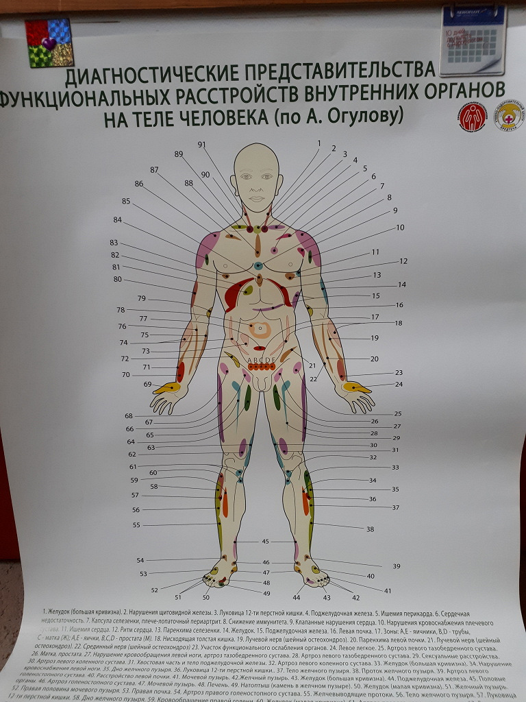 Висцеральная терапия (Огулов) книги + плакаты в дар (Москва). Дарудар