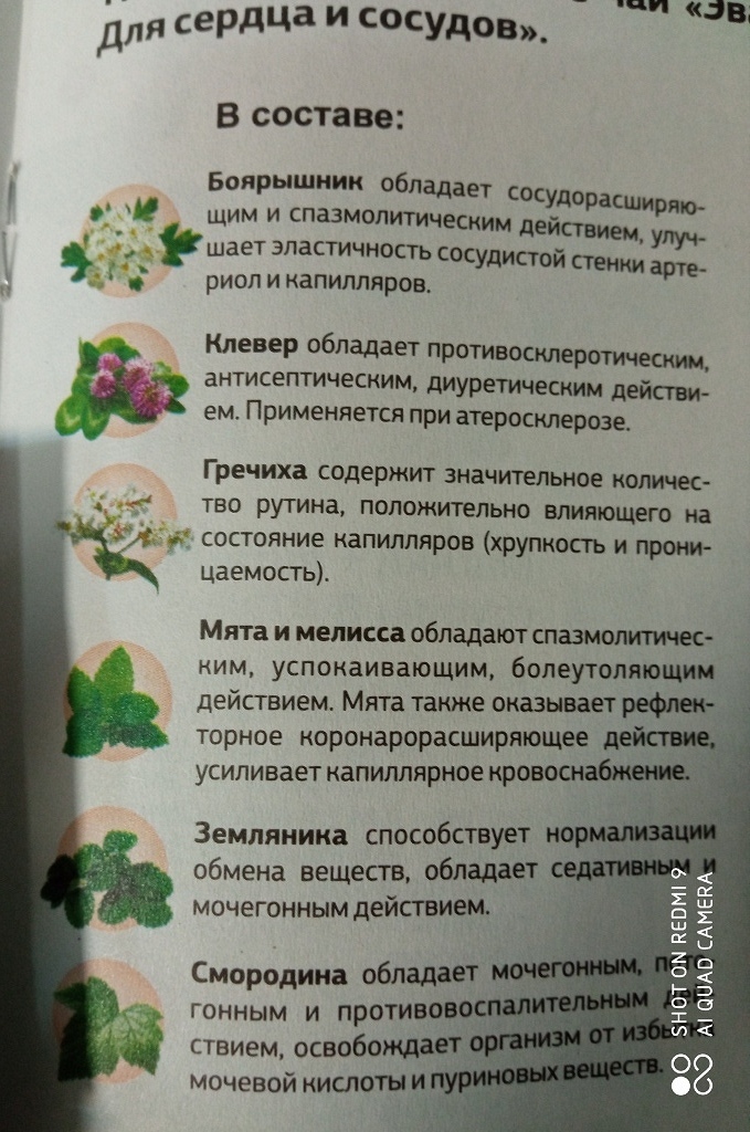 Чай Эвалар. Для сердца и сосудов в дар (Москва). Дарудар