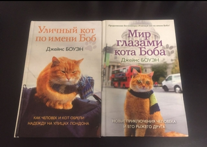 Кот боб книга. Джеймс Боуэн мир глазами кота Боба. Боуэн мир глазами кота. Приключения кота Боба книга. Боуэн Дж уличный кот по имени Боб.