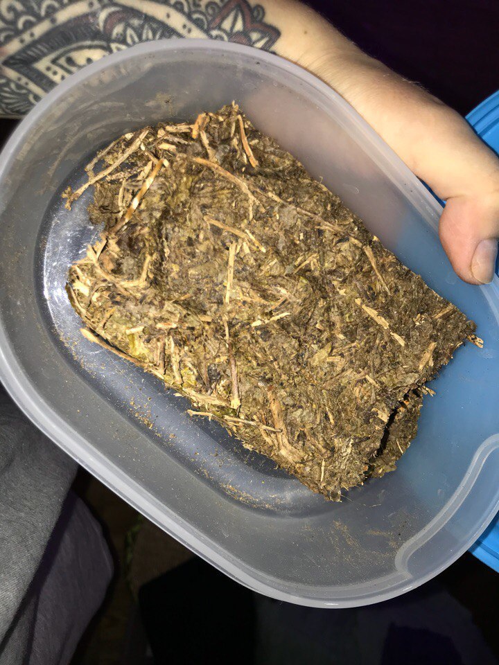 Калмыцкий чай картинки фото
