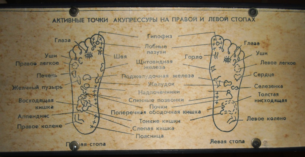 Точки на стопе отвечающие за органы фото с надписями