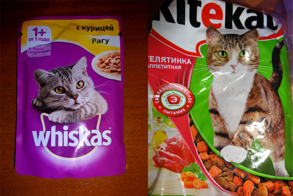 Купить пакетик корма для кошки. Корм для кошек. Корм для котов в пакетиках. Еда для котов в пакетиках. Вискас пакетики для котят.
