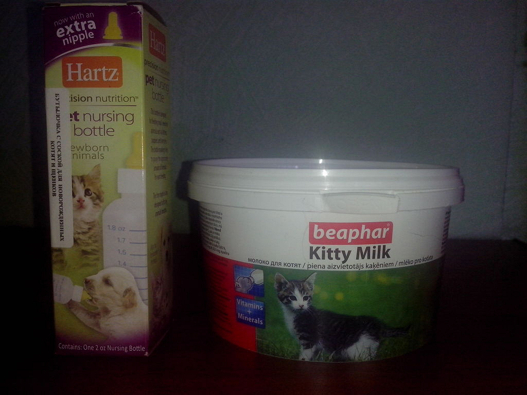 Кормить котенка детской смесью. Молочная смесь для котят. Сухая смесь для кормления котят. Состав молочной смеси для котят. Молочные смеси для котят 1.5 месяца.