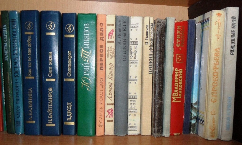 Библиотека дружбы народов. Обложки разных книг. Книги разных жанров. Книги разные бу. Якимович в в библиотеке.