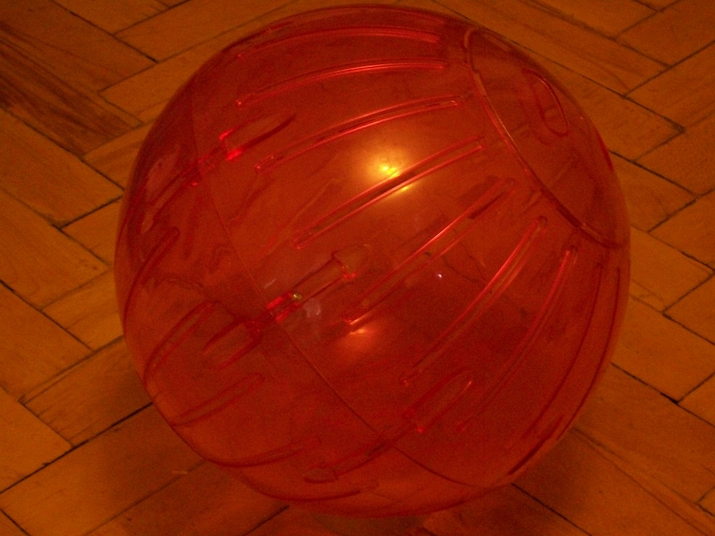 шар прогулочный savic 18. шар для грызунов 32 см. Savic колесо шар 25 см. шар для грызунов 32 см. Savic шар прозрачный runner.