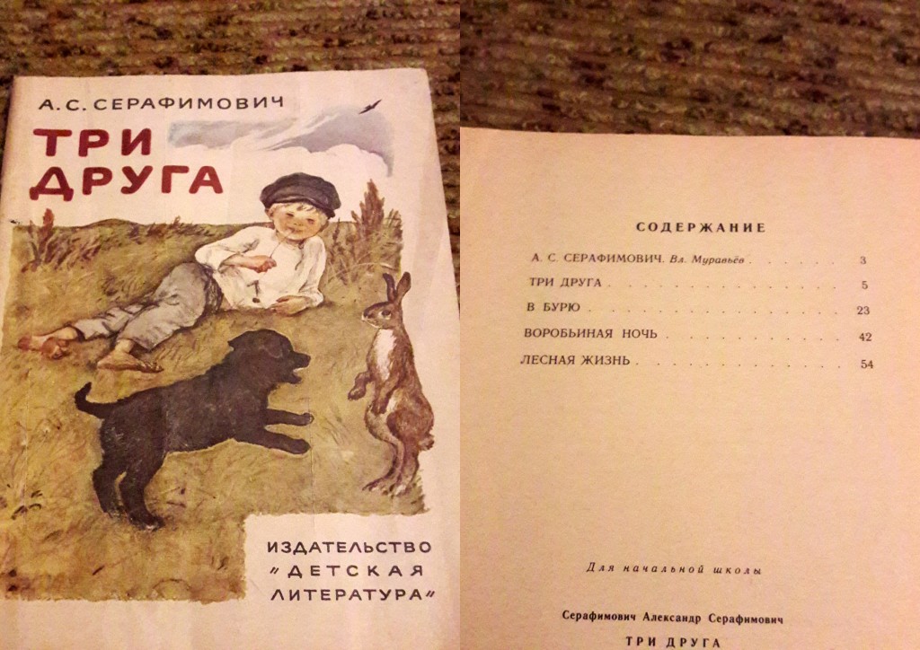 Книга Серафимович 1911 Год Простая Жизнь Купить