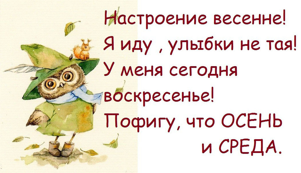 Приколы про среду в картинках с надписями про работу