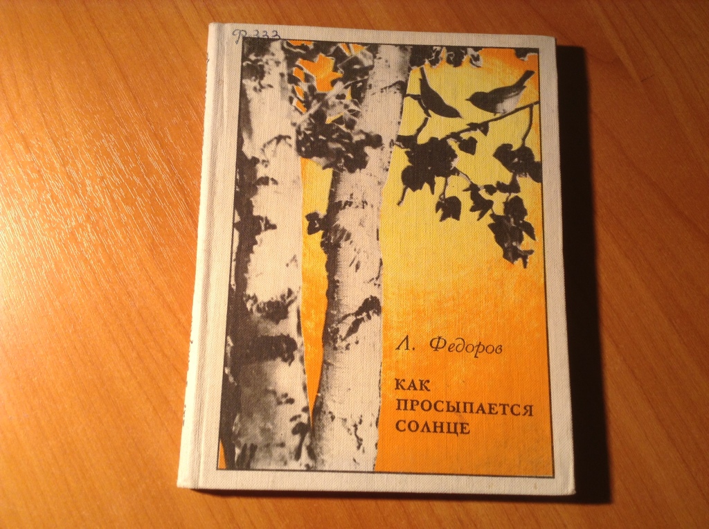 Тепло других солнц книга. Книга солнце. День солнца обложки книг. Где просыпается солнце обложка книги.