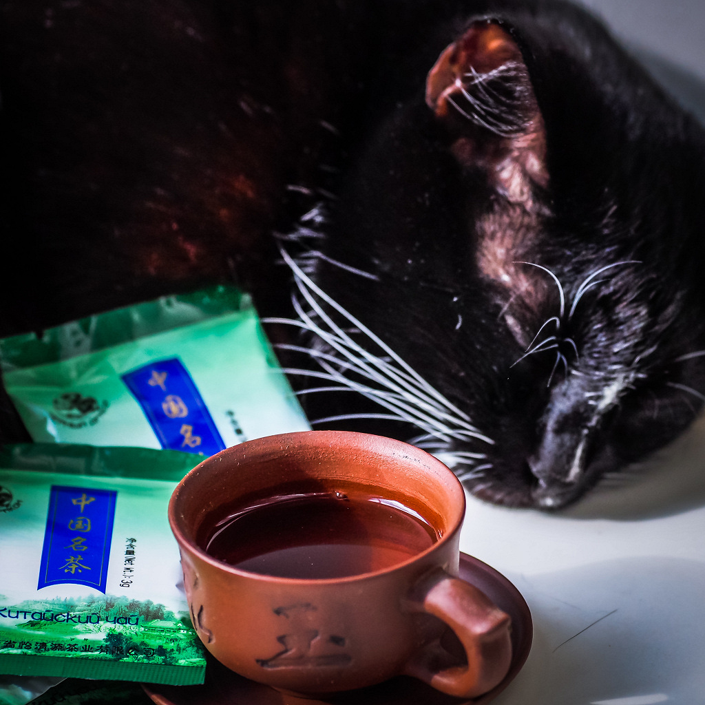 Коту можно чай. Кот и чай. Кошачий чай. Котик и чай. Вечер чай кот.