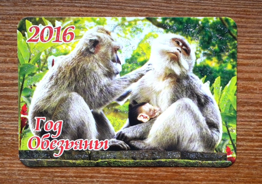 Карманные календари с обезьяной. Двусторонний календарь обезьяны карманный.