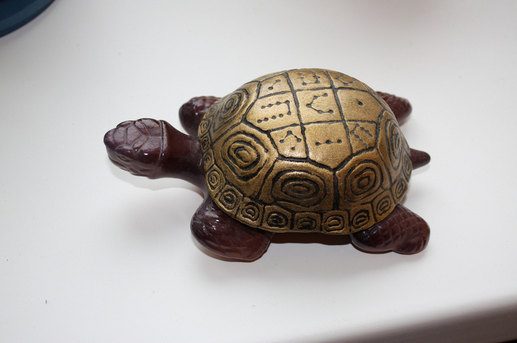 Turtle 3. Turtle 3