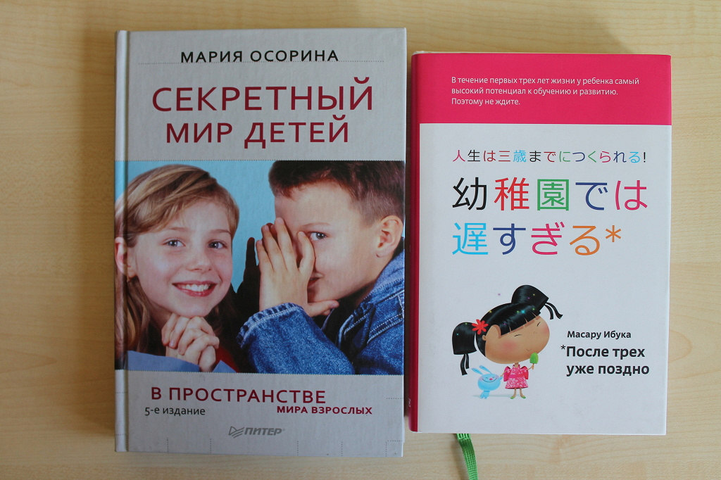 Мария осорина секретный мир детей в пространстве мира взрослых. Секретный мир детей в пространстве мира взрослых мария осорина книга. Секретный мир детей м. Мир детей в мире взрослых осорина. Секретный мир детей в пространстве мира взрослых.
