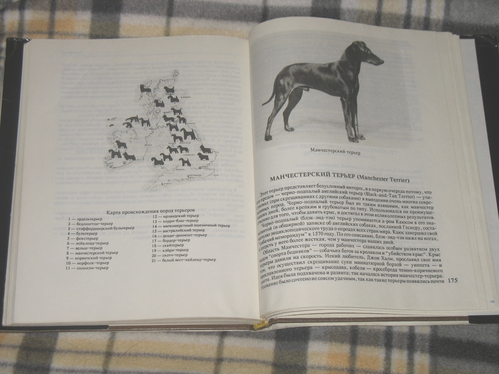 Атлас собак. Атлас редких пород собак. Книга атлас собак. Книга о редких порода собак. Книга о породах собак СССР.