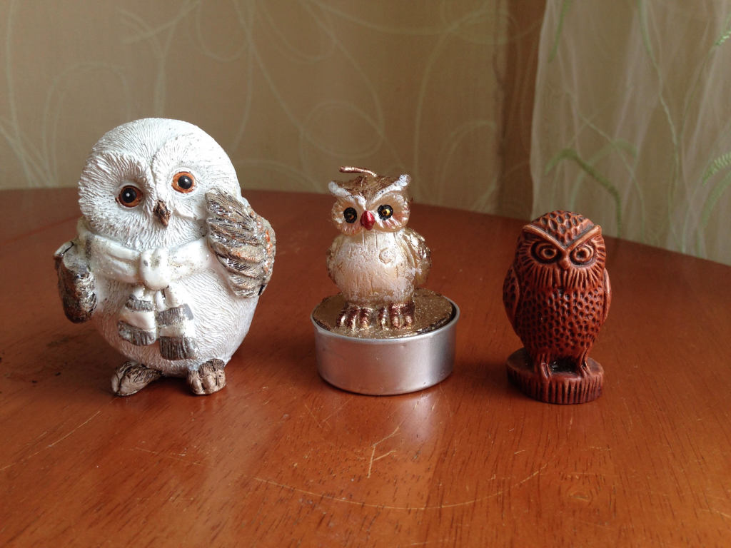 Коллекционер сова. Я коллекционирую совушек. Совиный дом антикафе москва. Бородатая неясыть. Совиное кафе в японии.