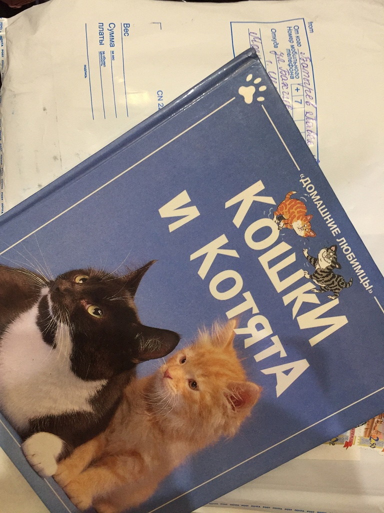 Коты эрмитажа книга. Книга кошки и котята. Эрмитажные коты книга. Котята в музее книга. Кошечки собачки книга.