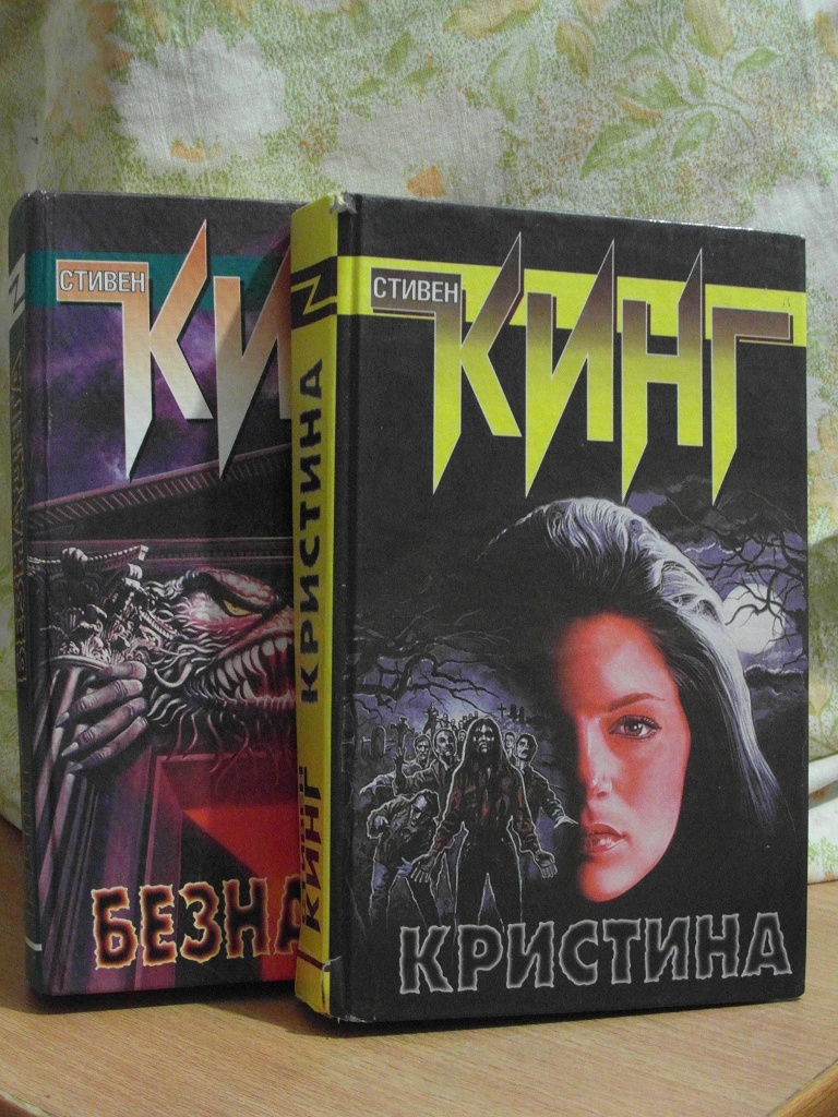 Книга про кристину