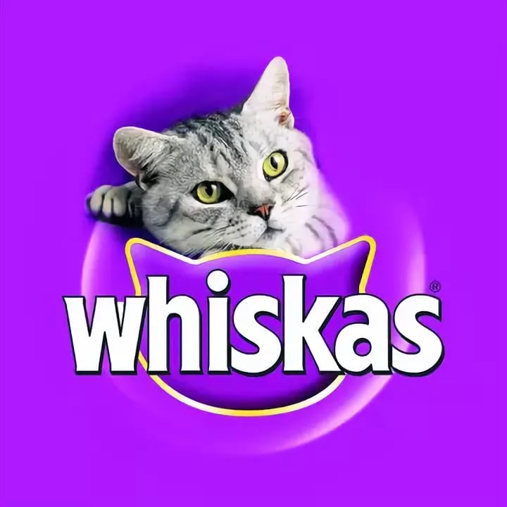 Вискас значок. Надпись вискас. Whiskas логотип корм. Логотип вискаса. Покажи бискаса