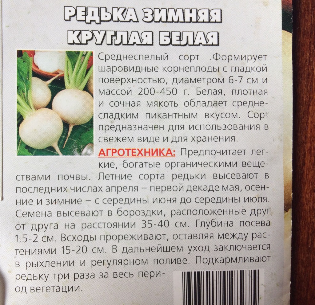 Семена редьки в дар (Москва). Дарудар