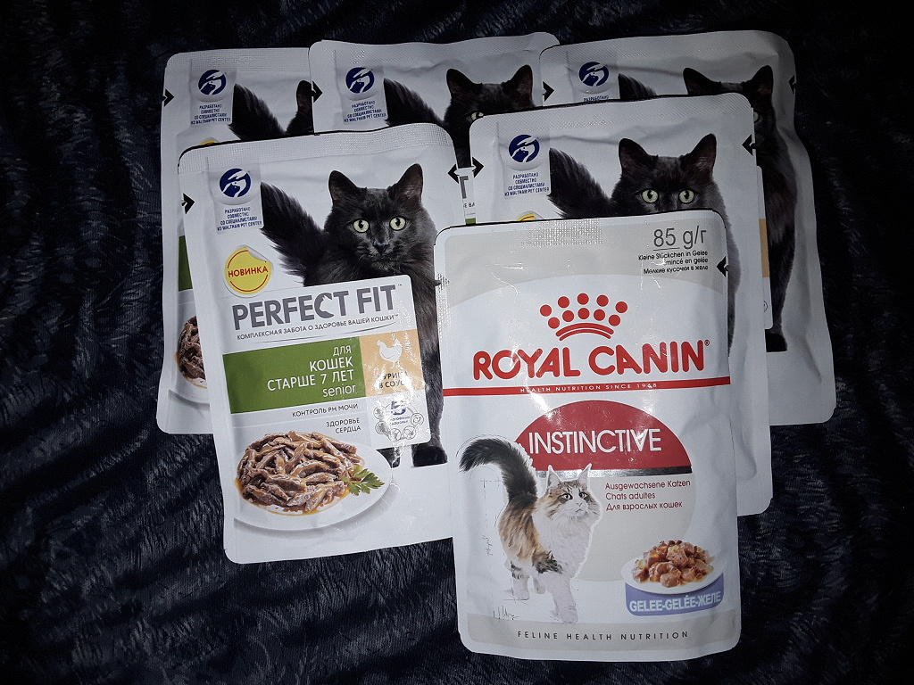 Купить пакетик корма для кошки. Кошачий корм в пакетиках. Корм для кошек в пакетиках. Еда для котов в пакетиках. Кошачий корм мягкий.