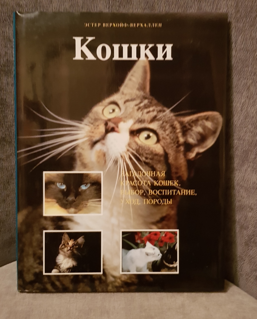 Энциклопедия кошек картинки