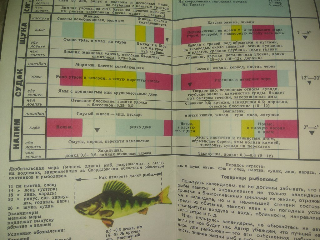 Клев тамбов. Рыболовный календарь. Советский рыболовный календарь. Рыболовный календарь книга. Советский календарь рыбака.