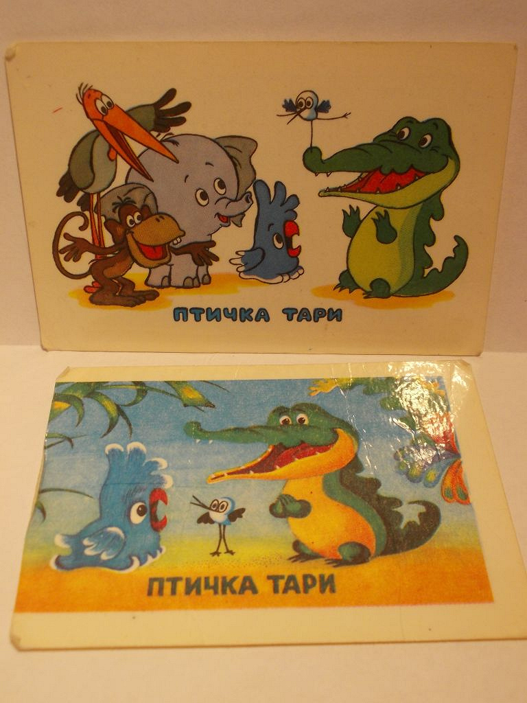 Птичка тари картинки
