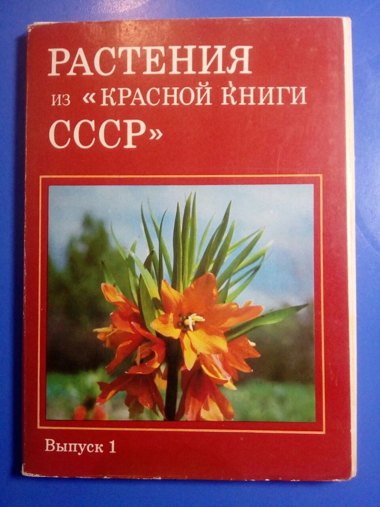 Розы Купить Книги Ссср