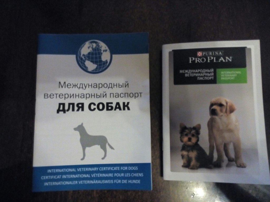 Ветпаспорт международного образца для собак