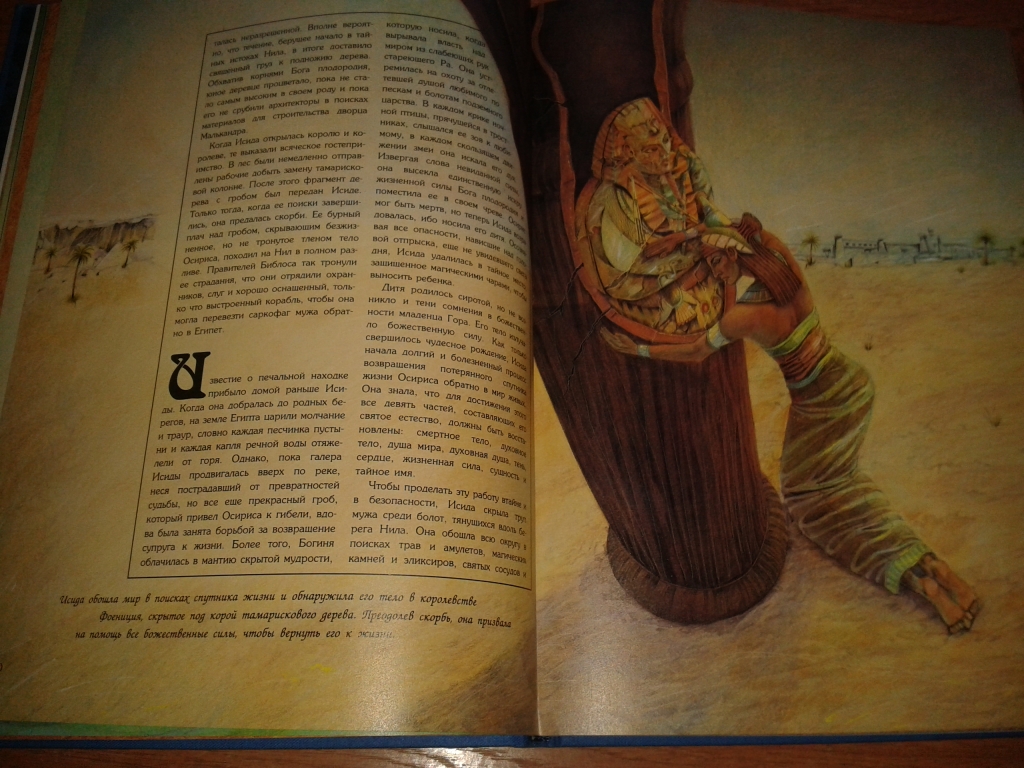 Книга Боги И Люди Купить