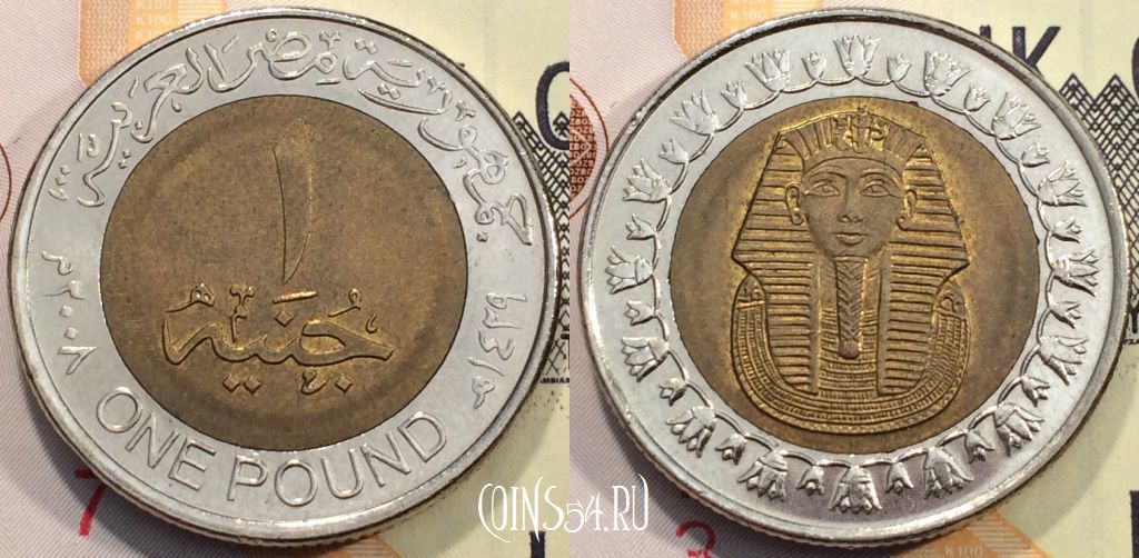 1 миллион стерлингов в рублях. Египетский фунт (гинея).. 1 Фунт 2008 Египет. Монета Египетский фунт Аверс. Монеты Египет 1 фунт 2008.