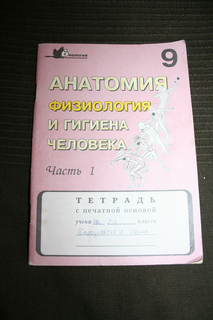 Рабочая тетрадь девятый класс. Рабочая тетрадь по анатомии и физиологии. Биологии анатомия физиология и гигиена человека 1 часть 9 класс. Биологии анатомия физиология и гигиена человека Панфилова. Рабочая тетрадь анатомия.