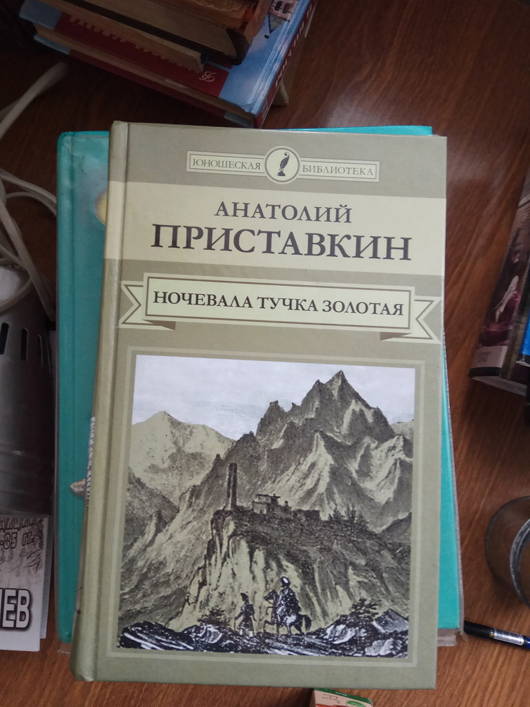 Ночевала тучка золотая книга краткое