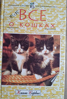 Отдается в дар Кошка