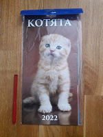 Отдается в дар Календарь настенный котята