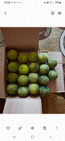 Отдается в дар Мячи для большого тенниса 18 штук