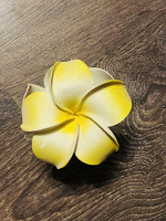 Отдается в дар Заколка-краб в виде тропического цветка.