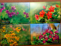 Отдается в дар Цветы на открытках