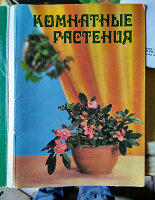 Отдается в дар Открытки «Комнатные цветы»