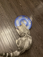 Отдается в дар Игрушка для котёнка