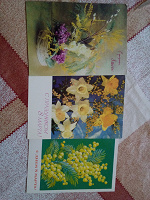 Отдается в дар Открытки СССР цветы: мимоза, каллы