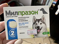 Отдается в дар Антигельминтный препарат для собак