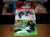 Отдается в дар Карманные календарики «Очаровательные котики».