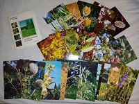 Отдается в дар Набор открыток Лекарственные растения