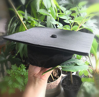 Отдается в дар Оxford cap